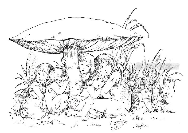 女孩们躲在一个巨大的蘑菇下面