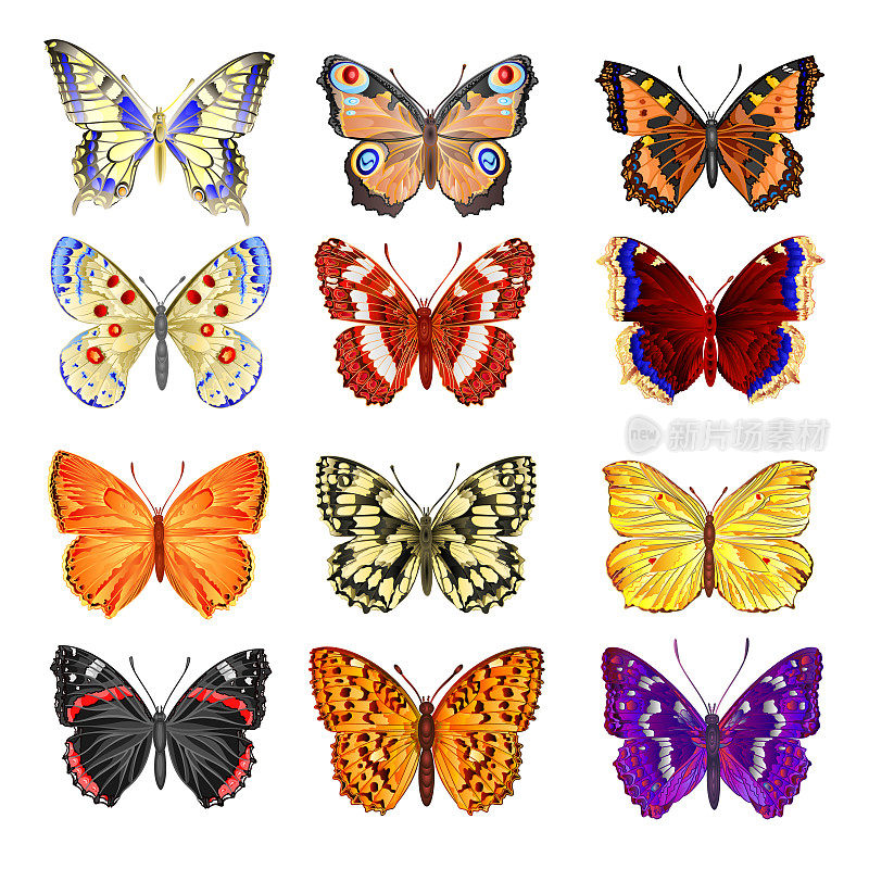 各种各样的蝴蝶山地草地和森林蝴蝶环境水彩古董上的白色背景矢量插图可编辑