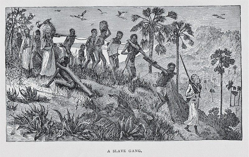 19世纪非洲俘获的奴隶