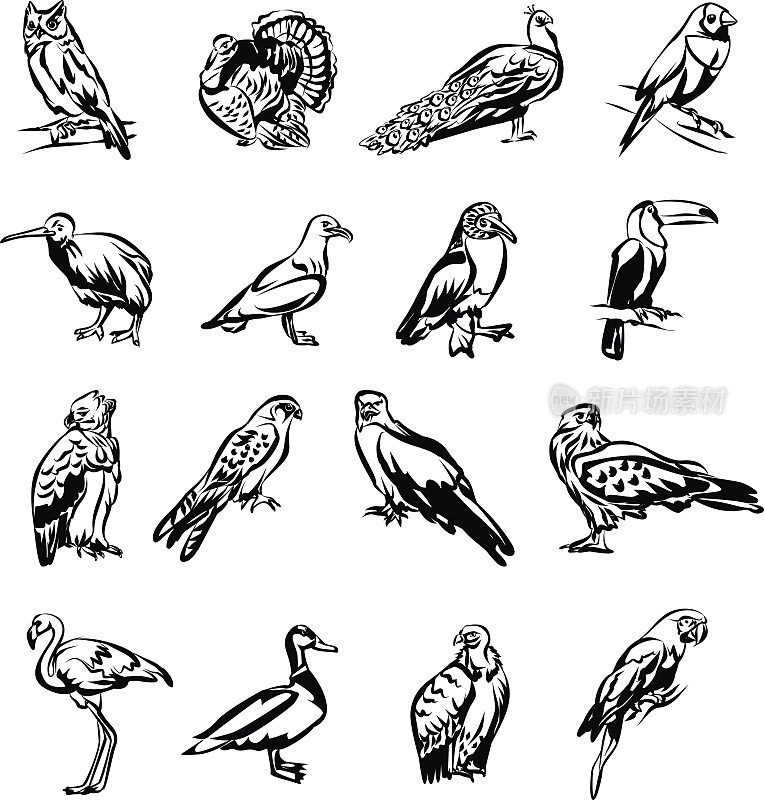 鸟类向量黑色涂鸦图标设置