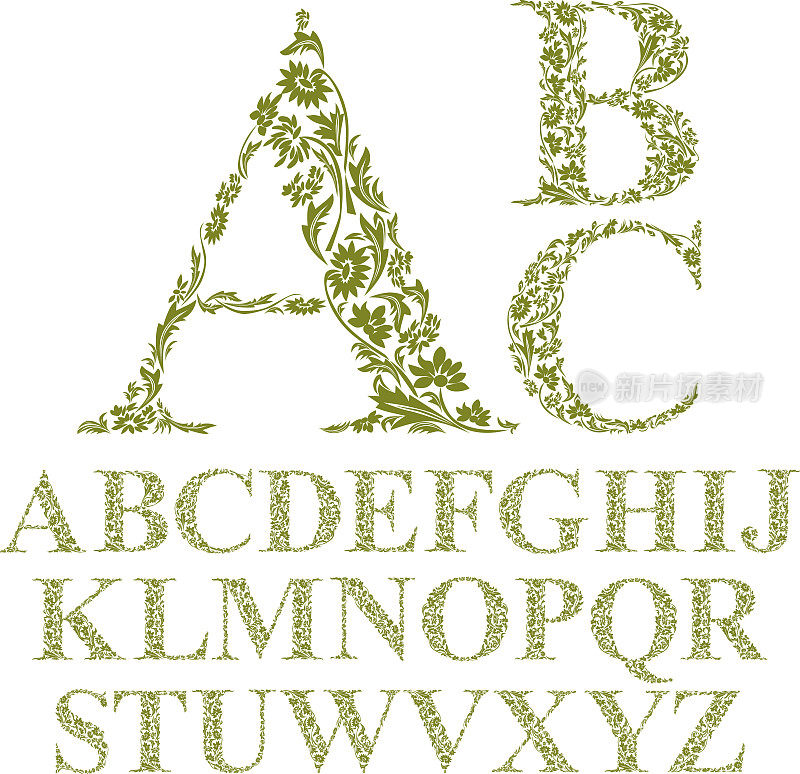 复古风格的花卉字母字体，矢量字母。