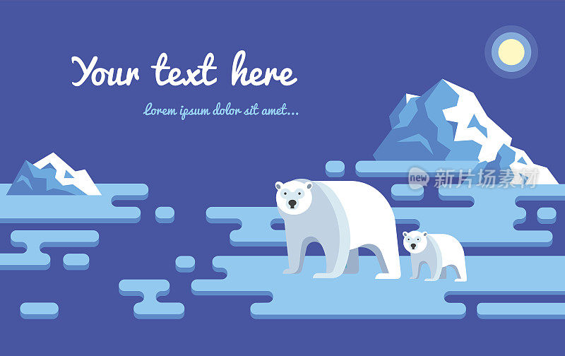 北极熊平面插图
