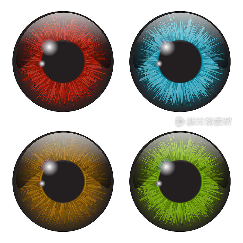 虹膜眼现实向量集设计孤立在白色背景