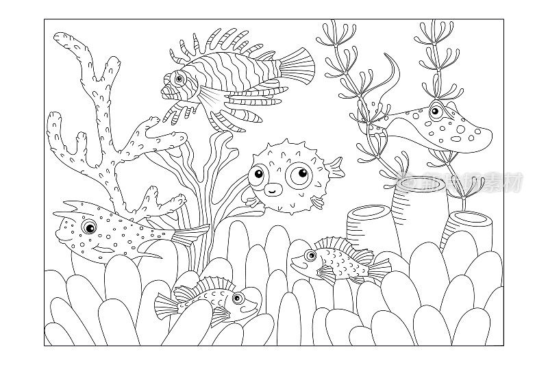 毒鱼:箱鲀，狮子鱼，黄貂鱼，河豚鱼，海鲈鱼。孩子的照片着色。向量