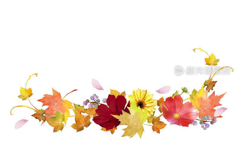 水彩花圈和花束框架插图与宇宙花，黄色雏菊，秋天的叶子。