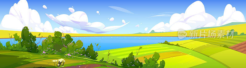 湖泊和绿色农田的夏季景观