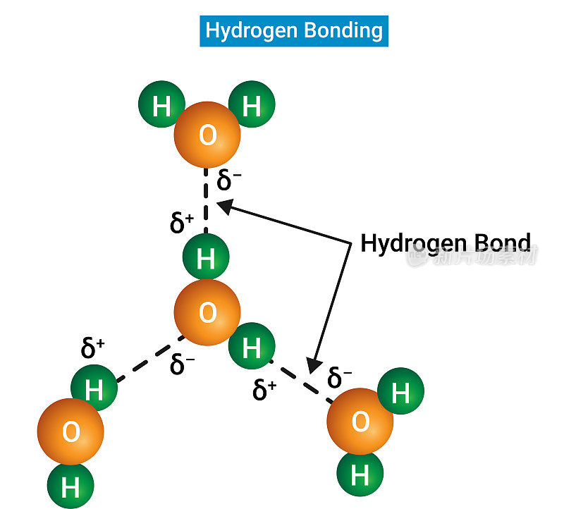 氢键和极性共价键的结构