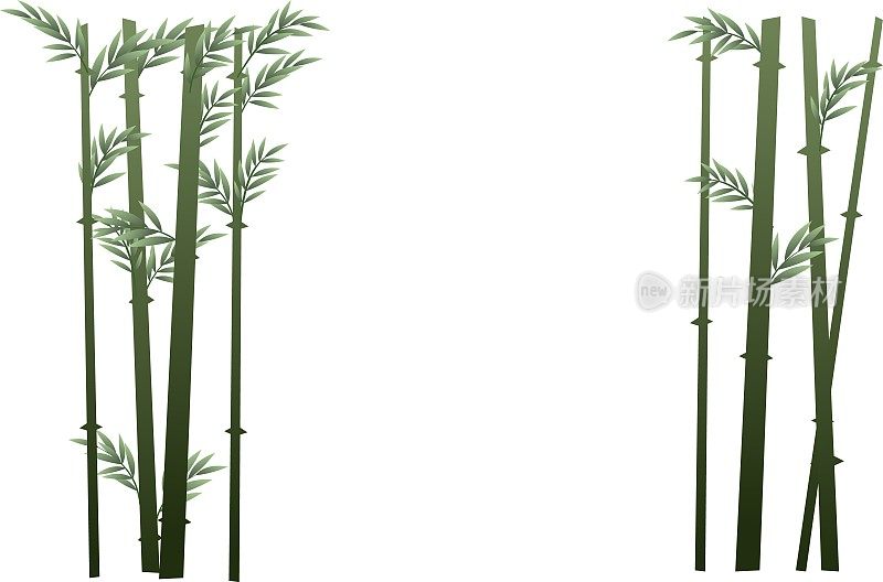景观竹框。热带芦苇床。南部地区的丛林和雨林。卡通趣味风格。平面设计。孤立的白色背景。向量。