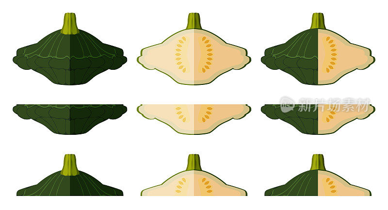 一套绿色馅饼锅南瓜或扇贝或扇贝南瓜。西葫芦。Cucurbita浆果。水果和蔬菜。平的风格。矢量插图隔离在白色背景上。