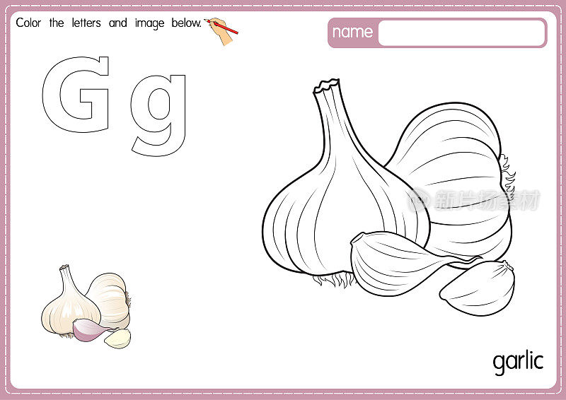 矢量插图的儿童字母着色书页与概述剪贴画，以颜色。字母G代表大蒜。