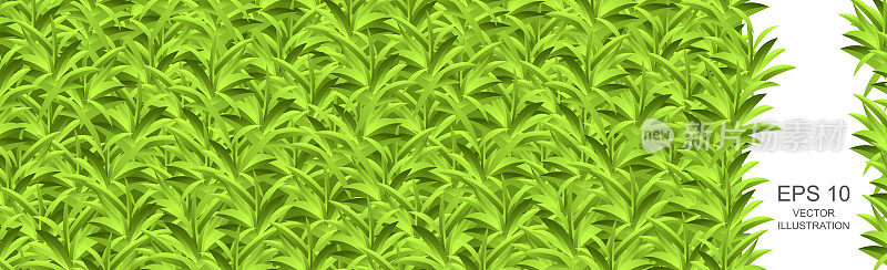 逼真的浅绿色草甸全景背景图案纹理-向量