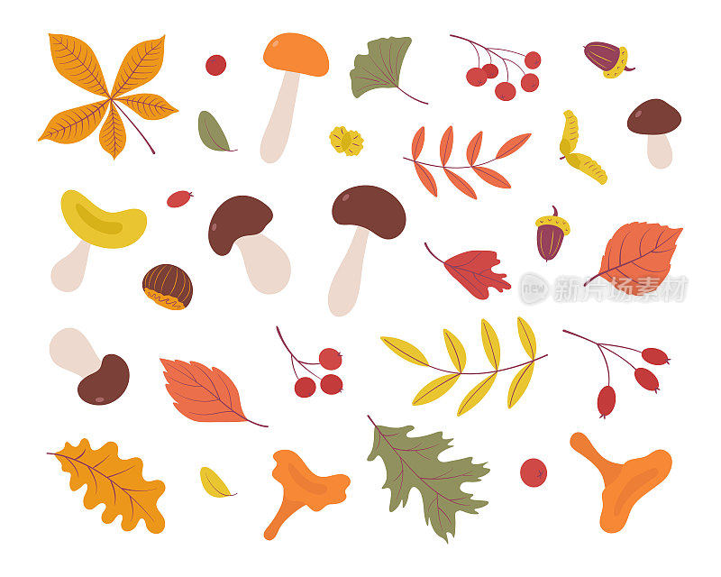 秋天的布景，手绘的元素。植物叶子，橡子，浆果，蘑菇，栗子。季节性的旗帜。9月秋季。10月的聚会。11月销售。矢量插图。