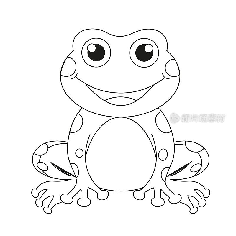 明亮的矢量插图的青蛙，可爱的青蛙坐，素描，线，手绘