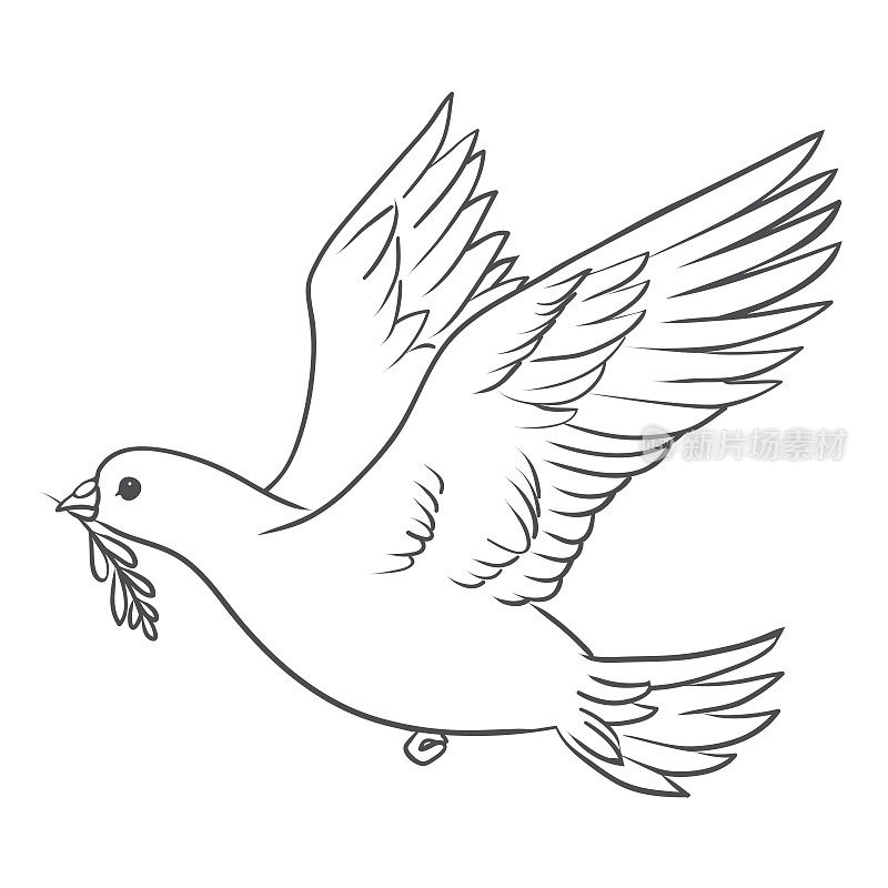 和平鸽衔着橄榄枝飞来飞去，双手放下。