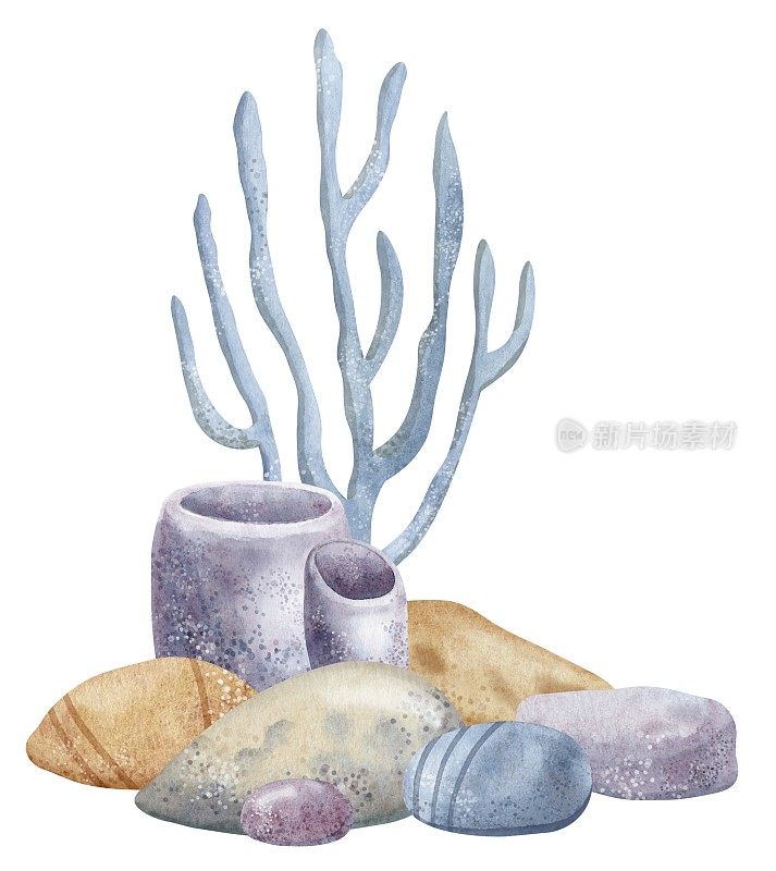 孤立背景上的珊瑚和海底石。手绘水彩插图与海底和海藻为图标。水下彩绘剪纸。海底素描在柔和的颜色