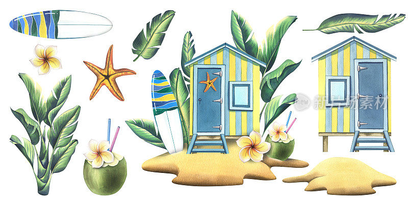 岛上的木制海滨别墅，有热带树叶、冲浪板、椰子鸡尾酒、鸡蛋花和海星。水彩插图，手绘。白色背景上孤立的元素