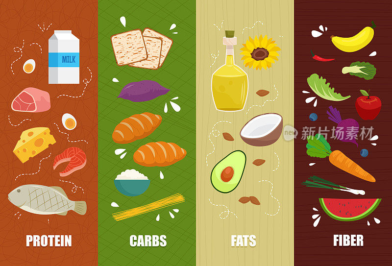 一组主要食物组，宏量和微量营养素。脂肪，纤维或纤维素，碳水化合物和蛋白质