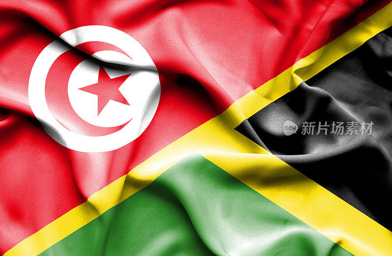 挥舞着牙买加和突尼斯的旗帜