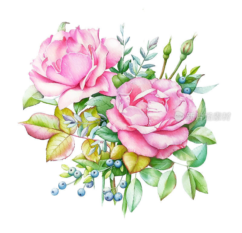 水彩花束，两朵粉色玫瑰。