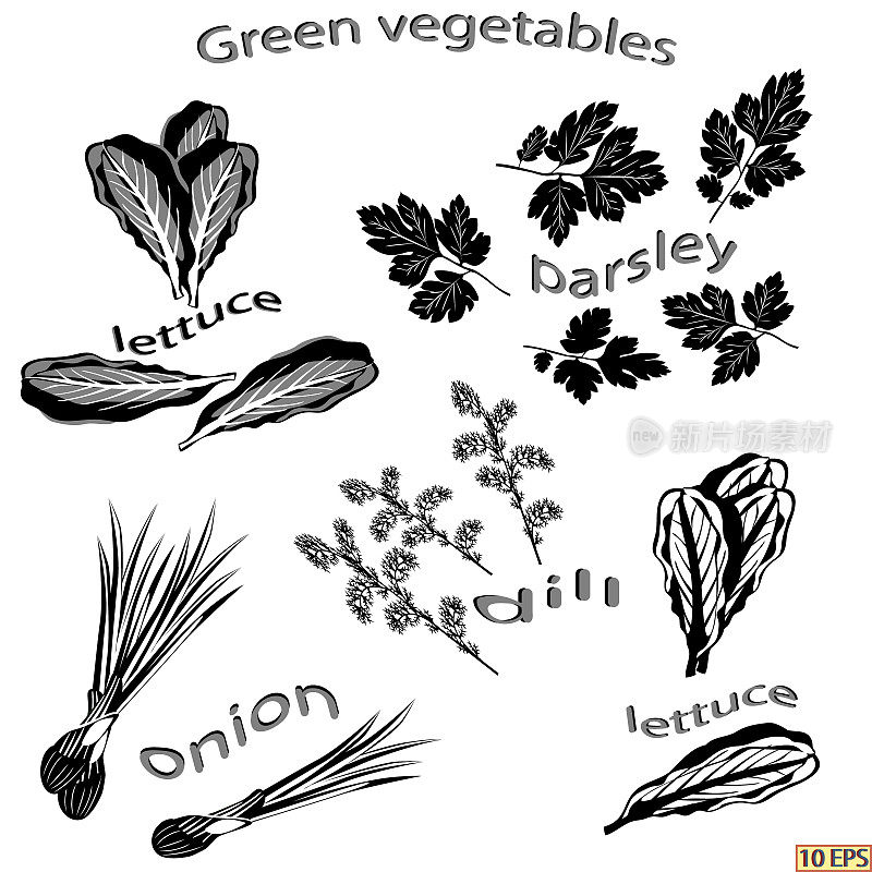 一组黑色图标食物。绿色蔬菜孤立在白色背景上。黑色图标洋葱，欧芹，莳萝，生菜。向量。