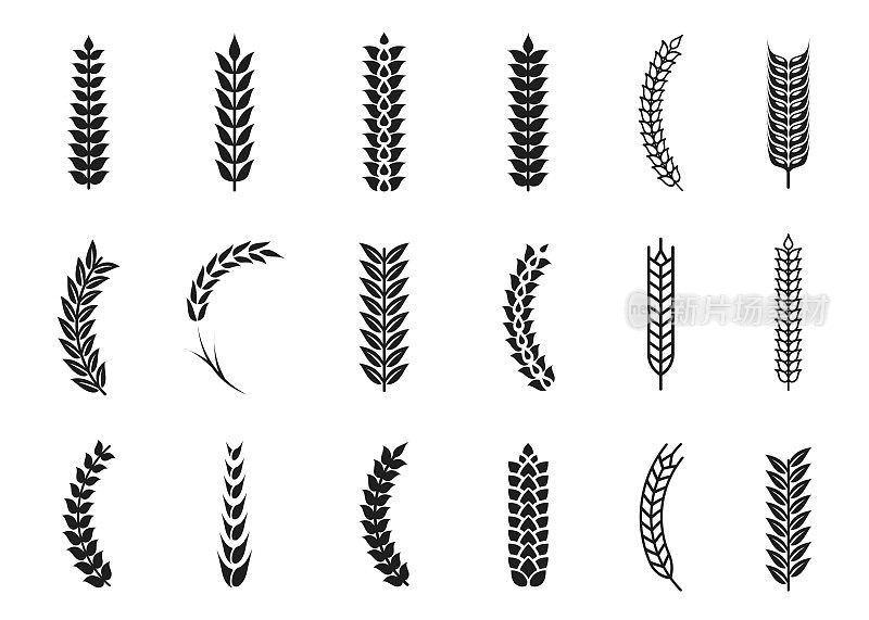 矢量小麦穗图标。燕麦和小麦