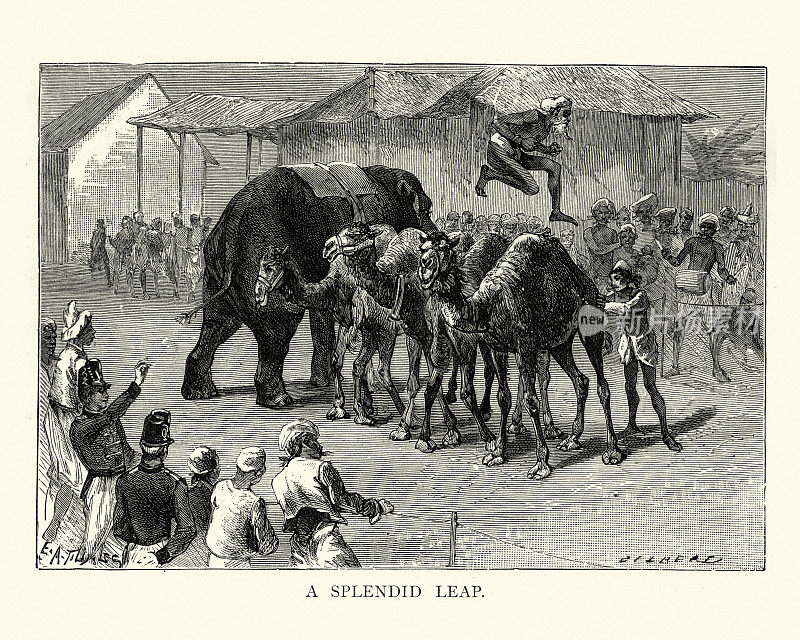 印度杂技演员跳过大象和骆驼，印度19世纪