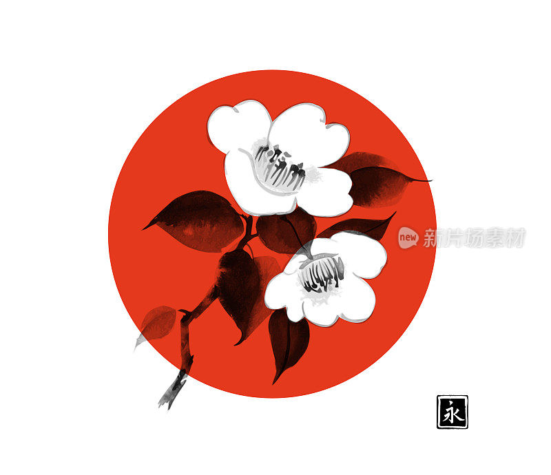 白色的山茶花和大红色的圆，象征日本。传统的日本水墨画。象形文字——永恒