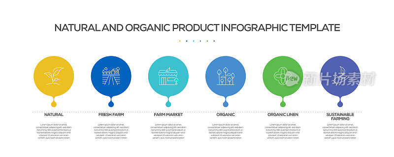 自然和有机相关过程信息图表模板。过程时间图。带有线性图标的工作流布局