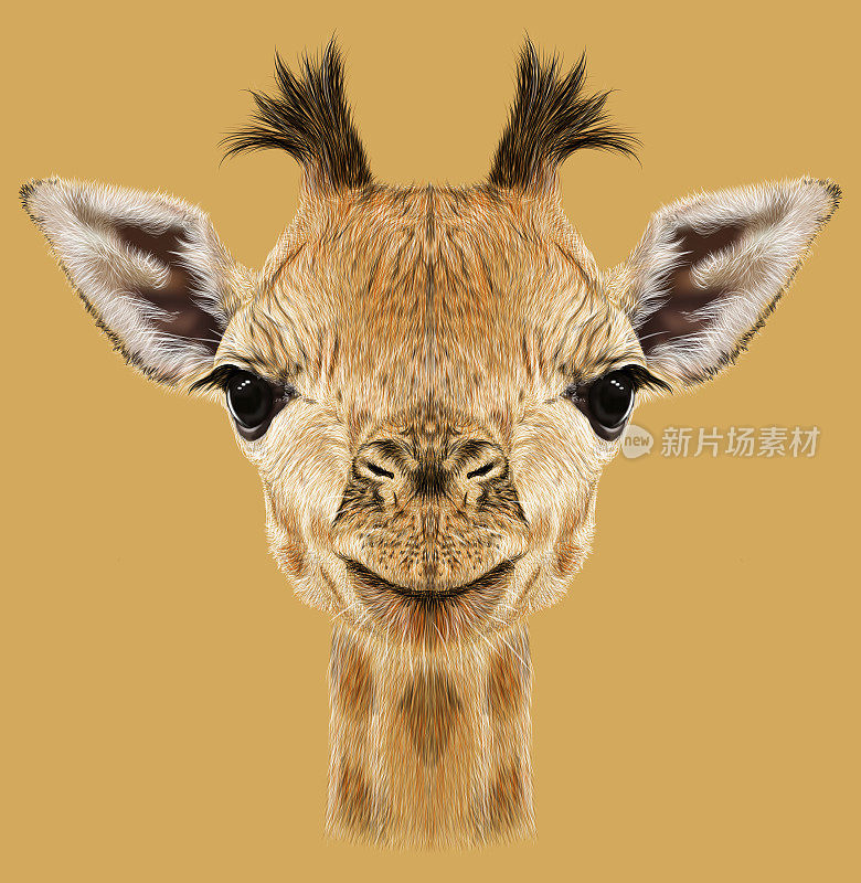 长颈鹿的插图肖像