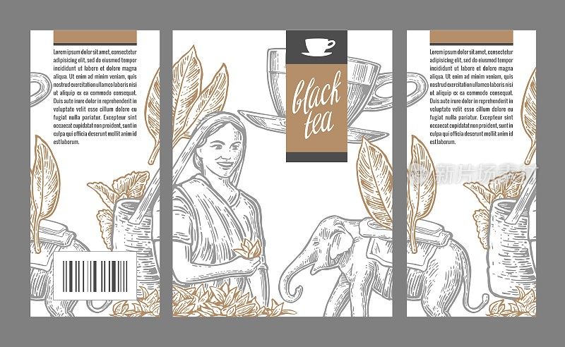 采茶的女人，茶叶，杯子，大象。矢量雕刻复古孤立插图标签红茶，包装，盒子。