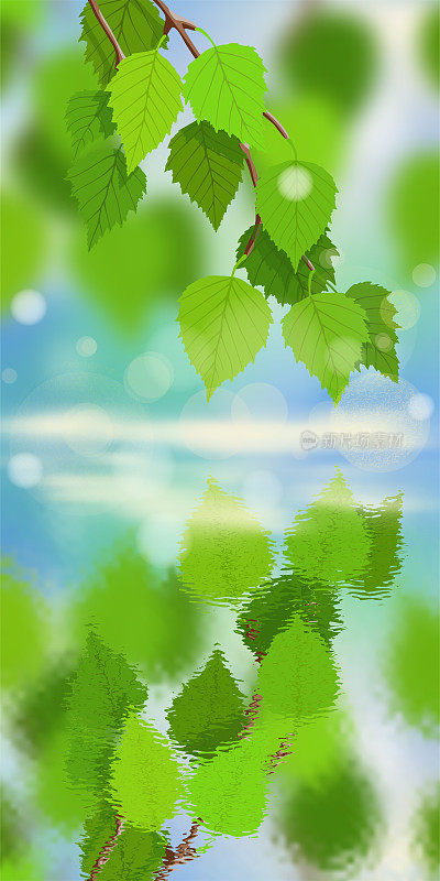白桦树的枝条以蔚蓝的天空为背景，在水中倒影，明媚的春天为背景