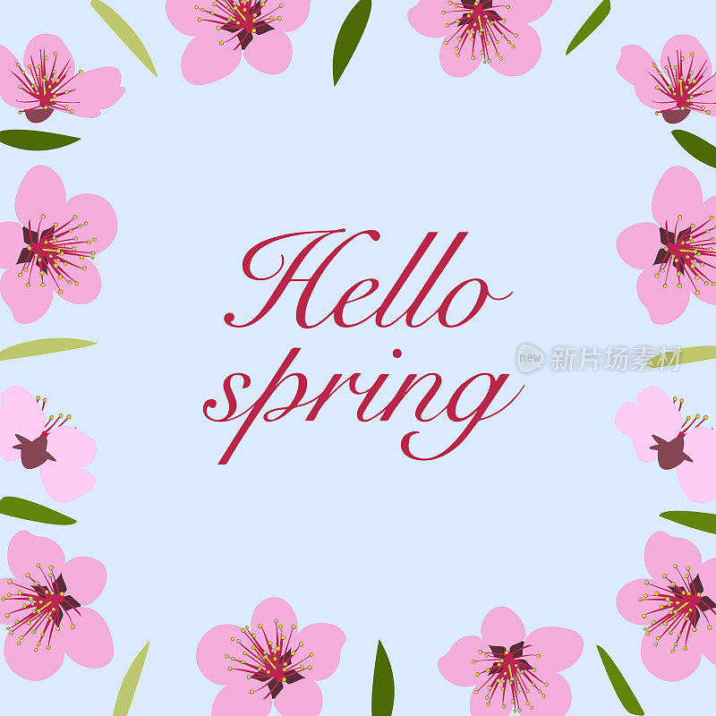 背景是盛开的粉色花朵，上面写着“你好，春天。”矢量插图。
