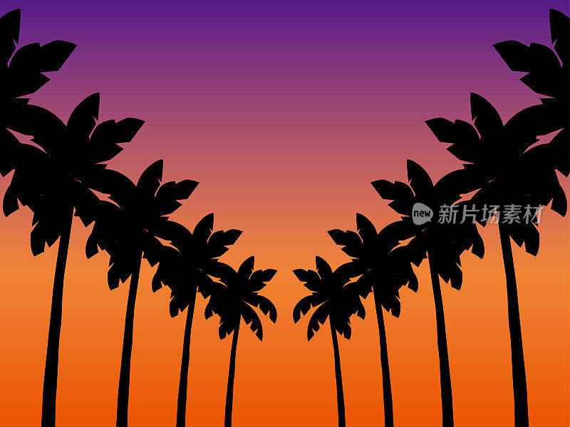 棕榈树黄昏B3-6