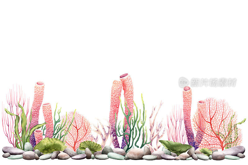 旗帜，边界有海洋植物，鹅卵石和珊瑚。水彩插图隔离在白色的剪贴画，包装