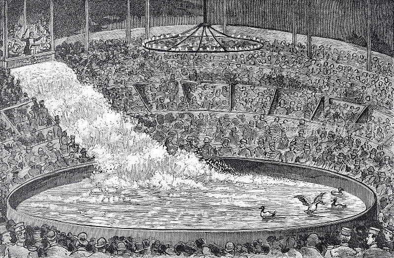 水上马戏团,水落入管理