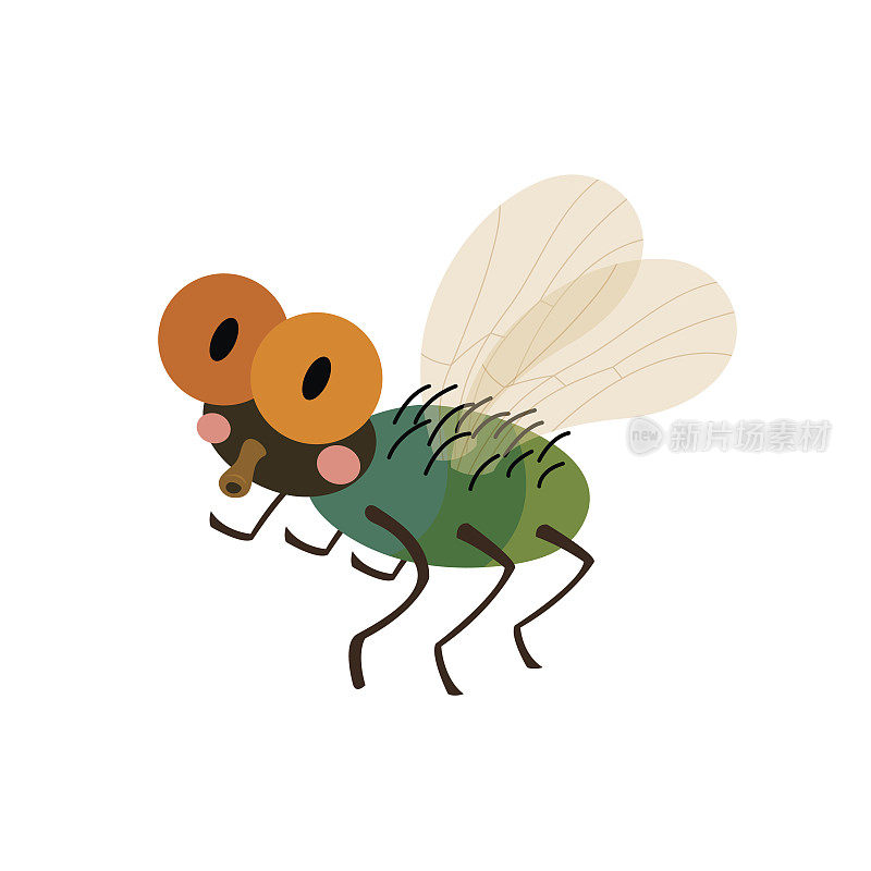 苍蝇动物卡通人物矢量插图。