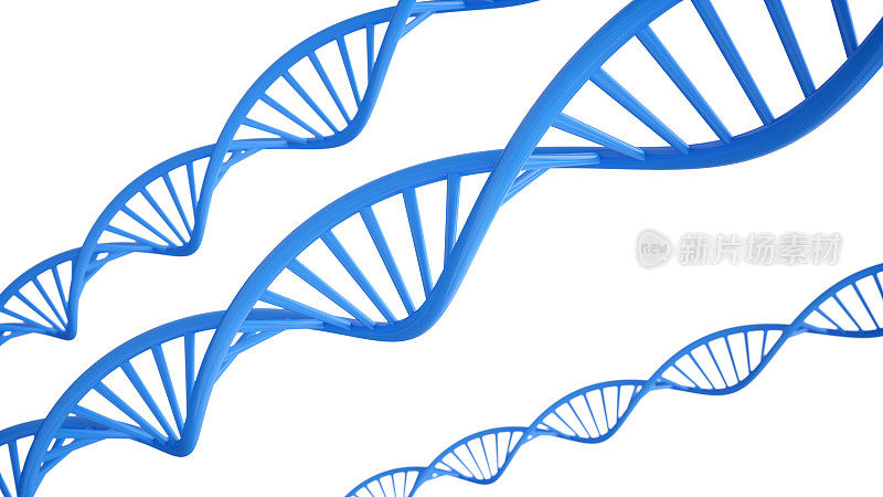3D渲染DNA结构