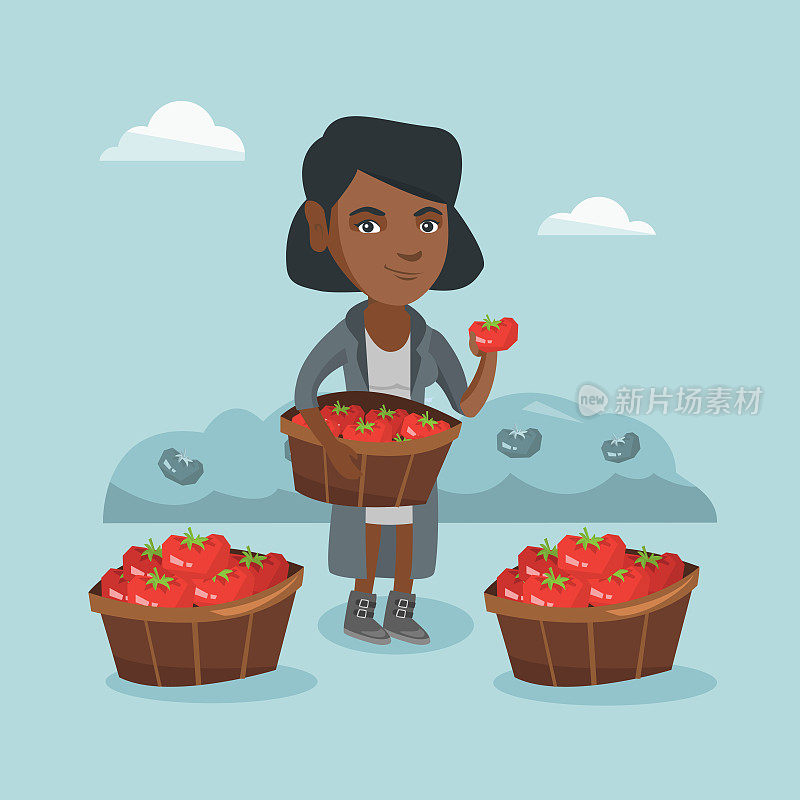 年轻的非洲裔美国农民正在收集西红柿