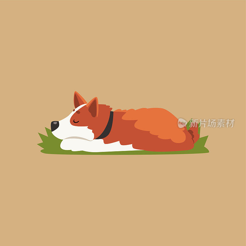 彩色插图与可爱的睡觉柯基。卡通红毛狗在绿色草坪上休息。纯种家畜。平面矢量打印，明信片或贴纸
