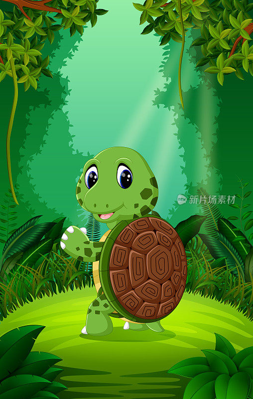 乌龟在清澈绿色的森林里