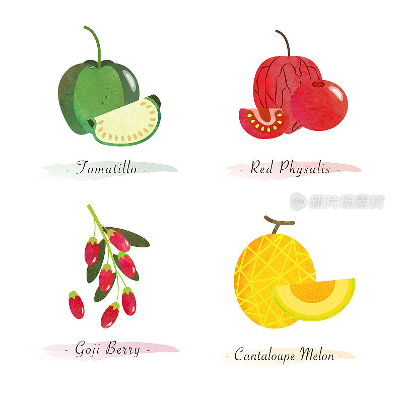 有机天然健康食品水果番茄红酸浆枸杞哈密瓜