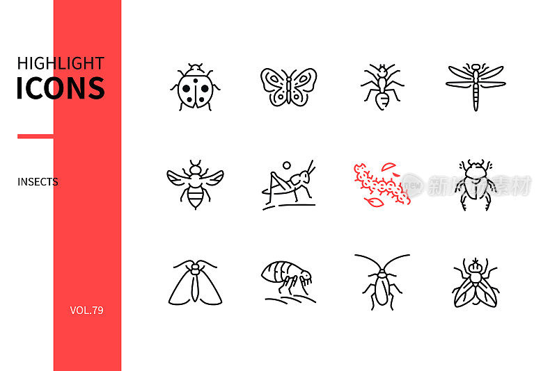 昆虫收藏-现代线条设计风格图标集