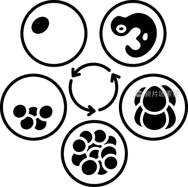 胚胎培养周期概念矢量字形图标设计，白底体外受精符号，妊娠和产科标志，
