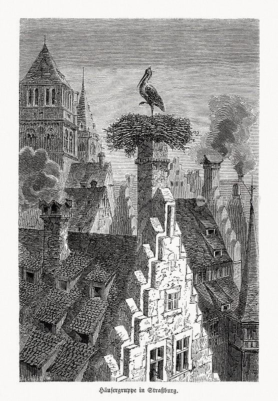 法国阿尔萨斯斯特拉斯堡的历史观，木刻，1868年出版