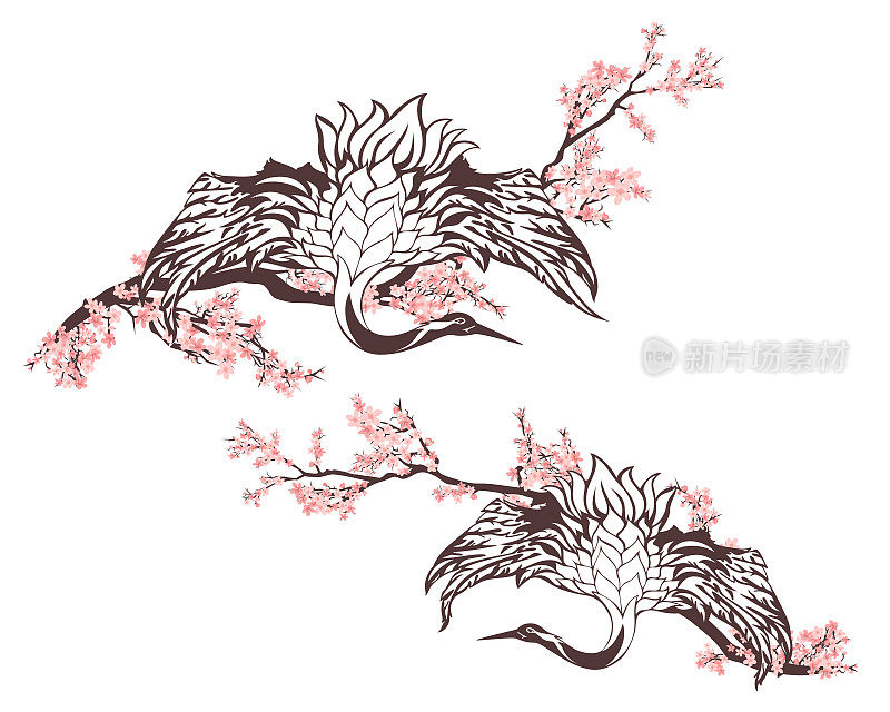 樱花枝和日本鹤鸟与展开翅膀的春天季节矢量设计