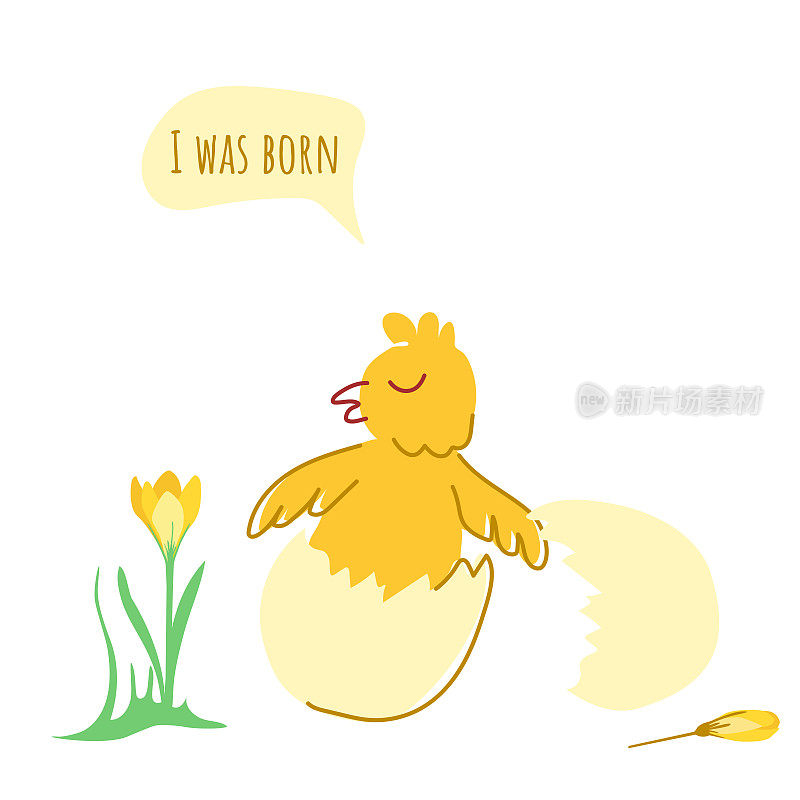 蛋壳里可爱的小鸡
