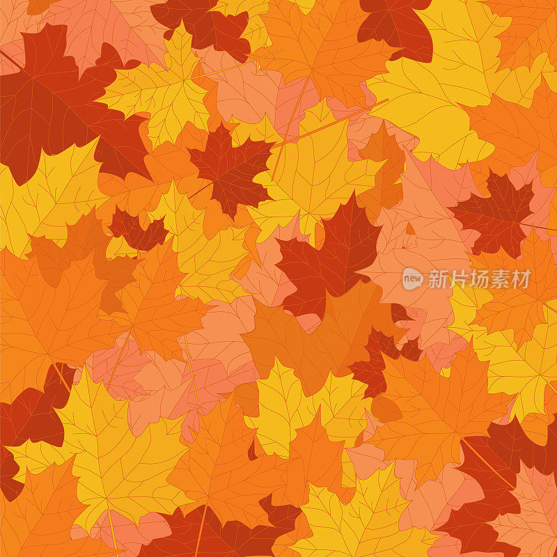 秋天的自然背景概念，落叶在红色，橙色和黄色