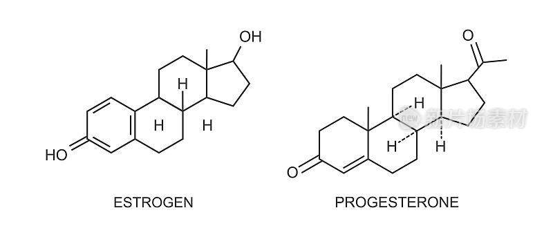 雌激素和孕激素的图标。女性生殖性激素的化学分子结构。月经周期、青春期、卵巢和怀孕的类固醇