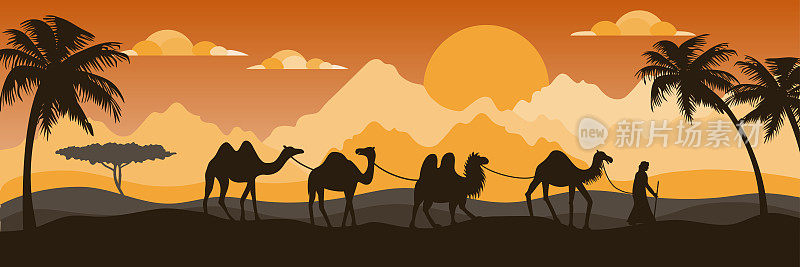 沙漠中的骆驼剪影。贝都因商队、金字塔和太阳。阿拉伯人在撒哈拉旅行，阿拉伯人在埃及。横旗沙丘景观。矢量卡通当前插图