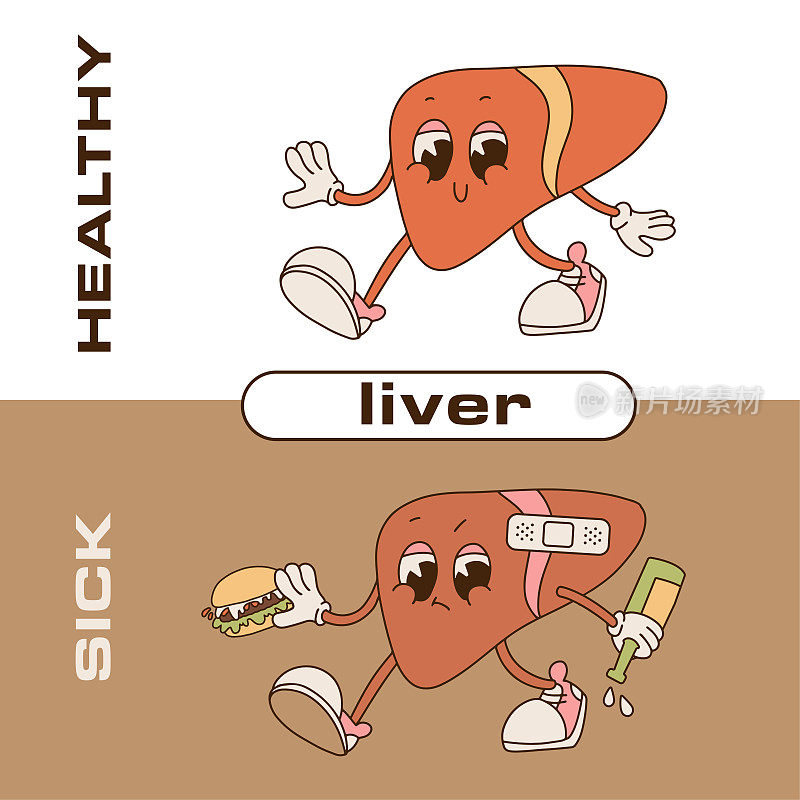 伤心不健康生病的肝脏拿着酒瓶，汉堡和强壮健康快乐的肝脏。复古卡通人物插图。食物、病痛、解剖学概念。向量预展。